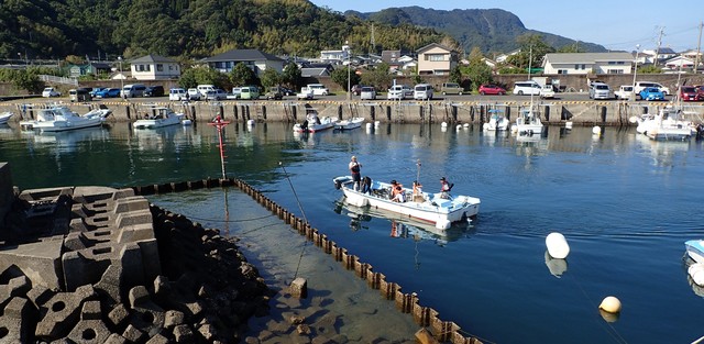 20241201アマモ班重富漁港 (7)