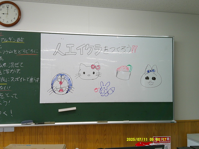 DSCF0002