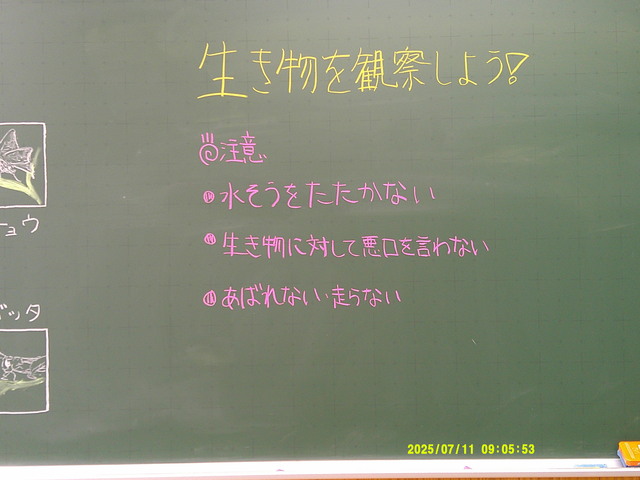 DSCF0005