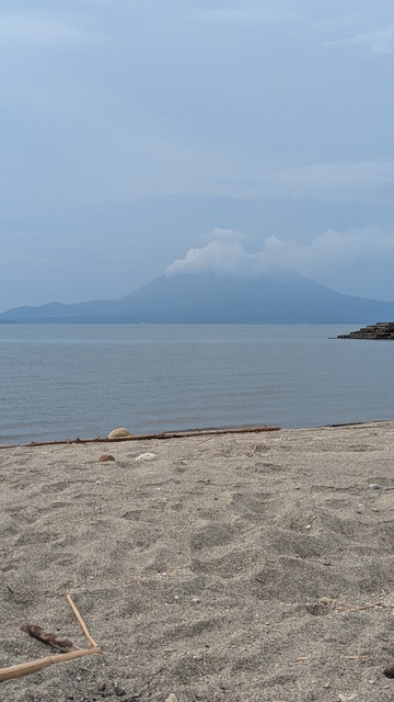 PXL_20251018_010819426