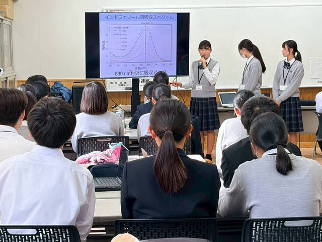 1762310476554-0 1762310476554-0