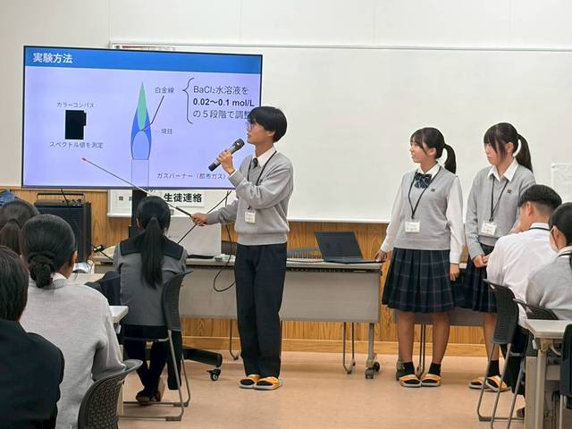 1762310476554-2 1762310476554-2