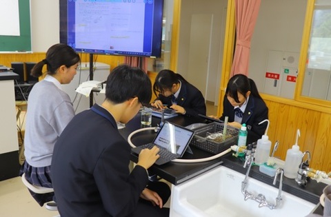 dousotai 05 dousotai 05